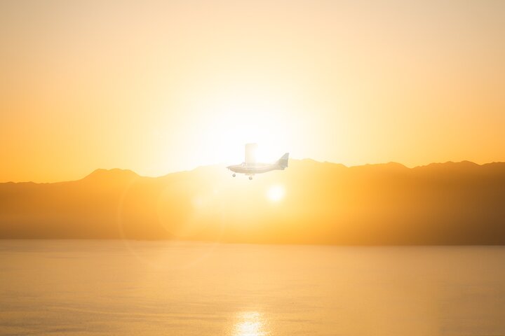 Kaikōura Whale Watching Scenic Flight (40 Minutes)