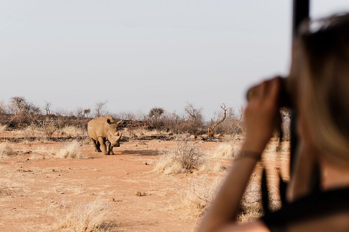 Full Day Pilanesberg Safari Adventure