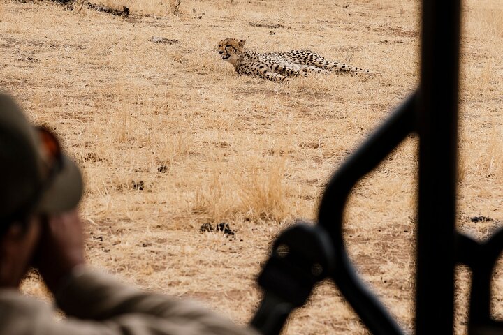 Full Day Pilanesberg Safari Adventure
