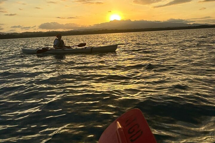 Bio-Luminescence and Sunset Kayak Tour
