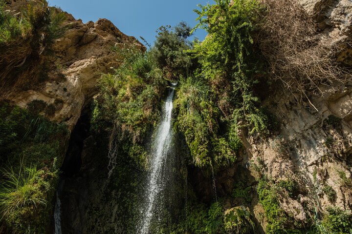 Dead Sea, Masada and Ein Gedi Day Tour from Tel Aviv
