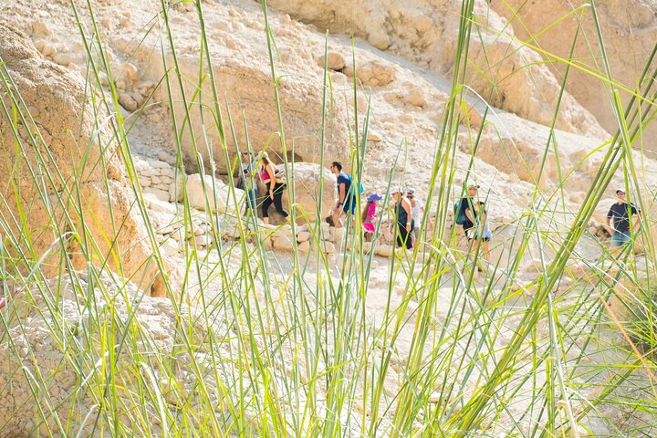 Dead Sea, Masada and Ein Gedi Day Tour from Tel Aviv
