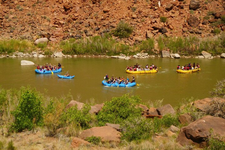 Moab Half-Day Rafting: Colorado River Adventure