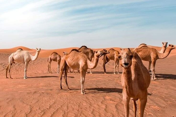 Tour in Mauritania