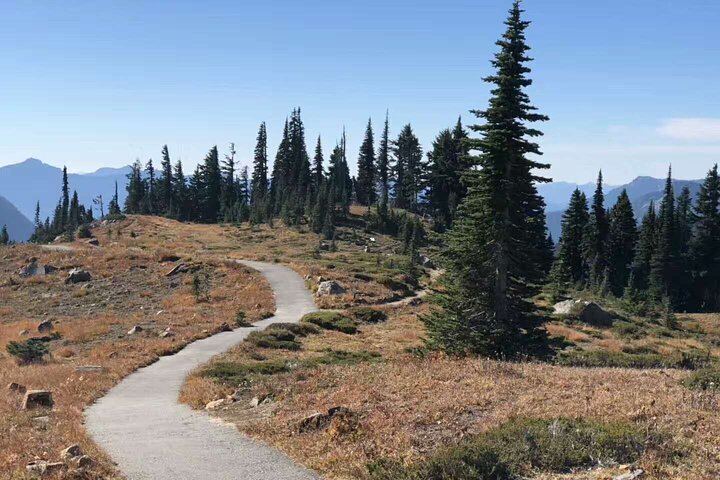 Mt. Rainier National Park Seattle 1-Day Small Group In-Depth Tour
