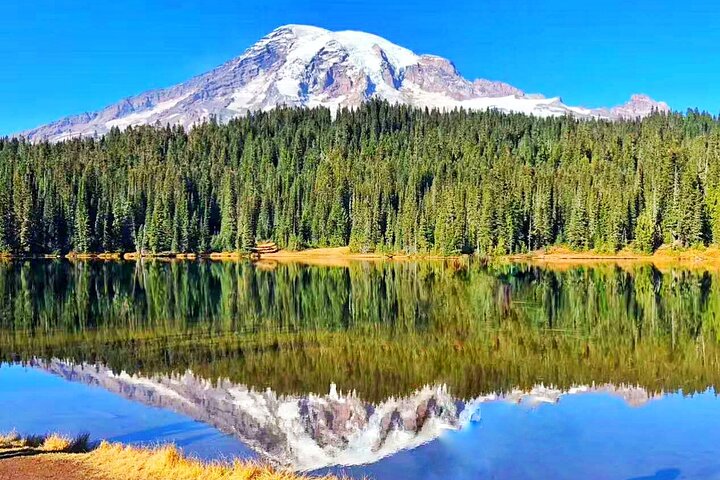 Mt. Rainier National Park Seattle 1-Day Small Group In-Depth Tour