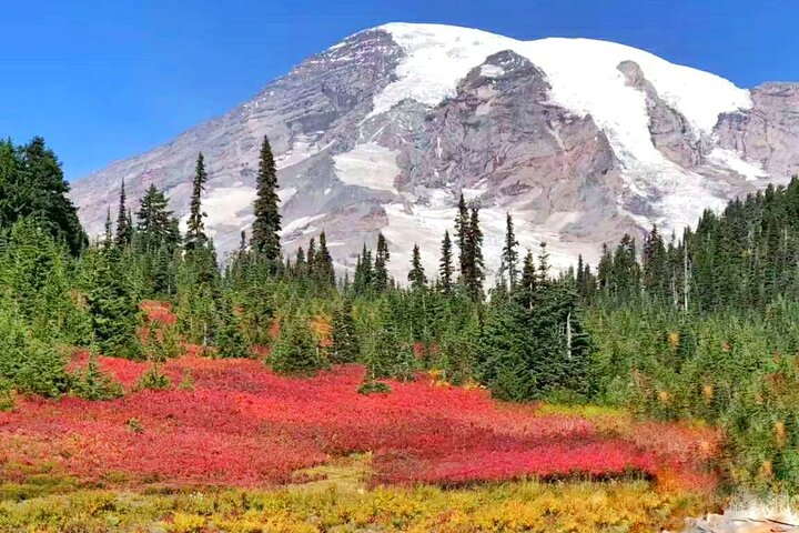 Mt. Rainier National Park Seattle 1-Day Small Group In-Depth Tour