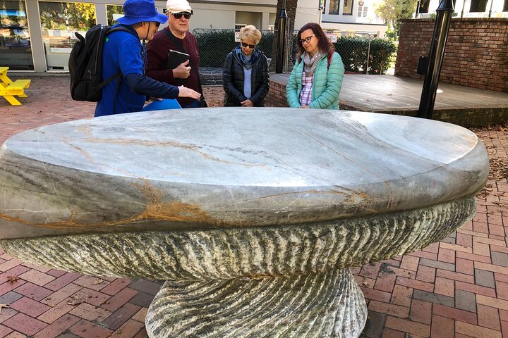 Nelson City Walking Tour - Guided
