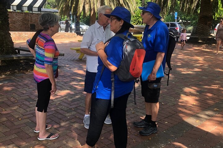 Nelson City Walking Tour - Guided