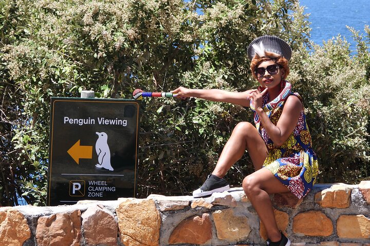 Table Mountain, Penguins & Cape Point Group Tour from Cape Town