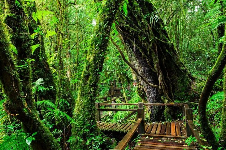 Chiang Mai - Doi Inthanon Full day Tour