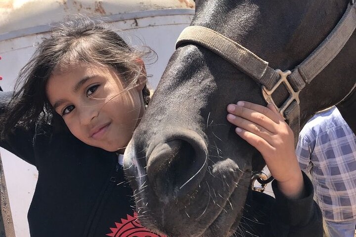 Private Shore Excursion: Beach or Canyon Horseback + Bufadora opt