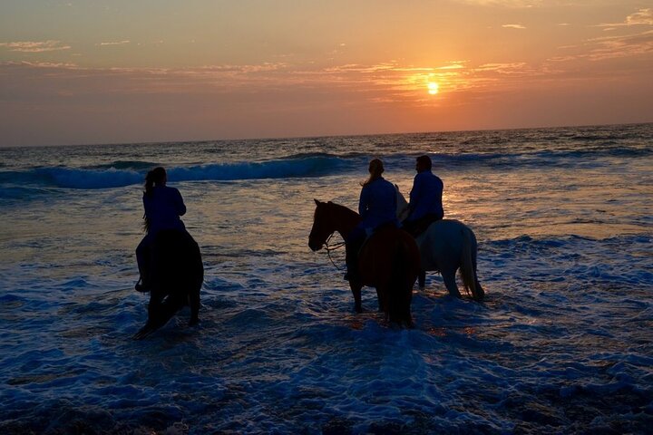 Private Shore Excursion: Beach or Canyon Horseback + Bufadora opt