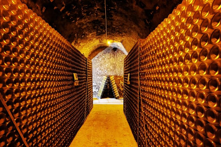 Champagne Day Trip from Reims including 9 Champagne Tastings