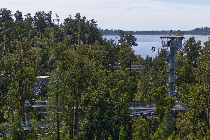 West Coast Tower Zipline & Treetop Walk Combo