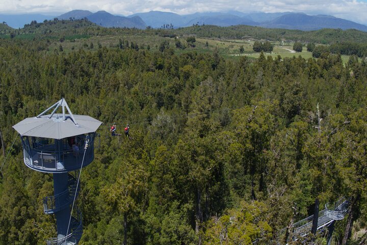 West Coast Tower Zipline & Treetop Walk Combo