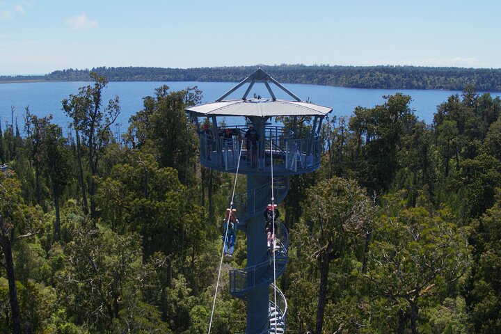 West Coast Tower Zipline & Treetop Walk Combo