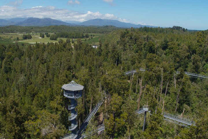 West Coast Tower Zipline & Treetop Walk Combo
