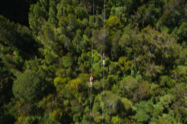 West Coast Tower Zipline & Treetop Walk Combo