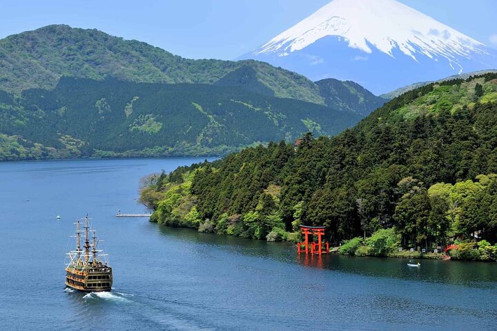 Hakone in 1 Day by Private Car with Licensed Guide