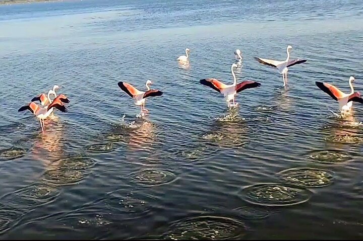 Happy tour camargue visit, ride, electric bike excursion