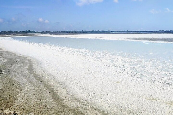 Happy tour camargue visit, ride, electric bike excursion