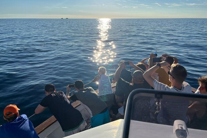 Fantastic DOLPHIN & SUNSET TOUR with dinner ( Pula-NP BRIJUNI )