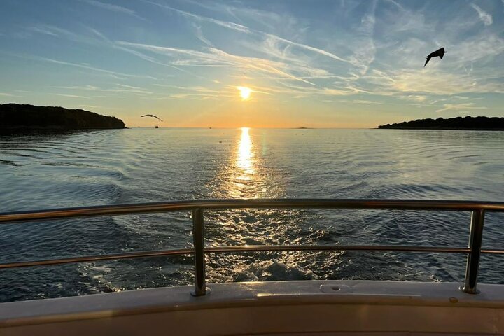 Fantastic DOLPHIN & SUNSET TOUR with dinner ( Pula-NP BRIJUNI )