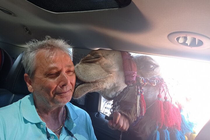 The Dead Sea and Masada Desert Adventure Private Tour