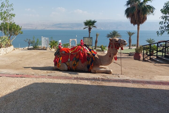 The Dead Sea and Masada Desert Adventure Private Tour