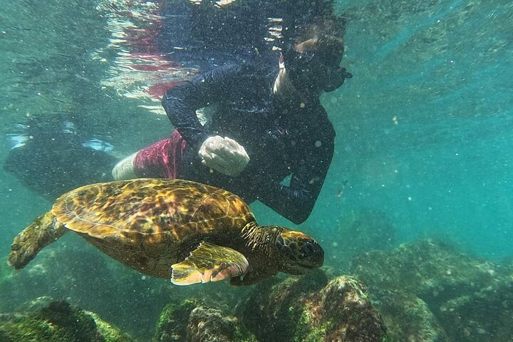 Full Day Tour Pinzon Island + La Fe/Las Palmas - Snorkeling & Fishing