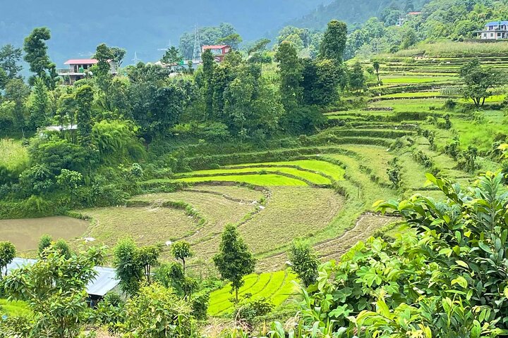 2-Day Private Trekking Tour to Australian Camp & Dhampus