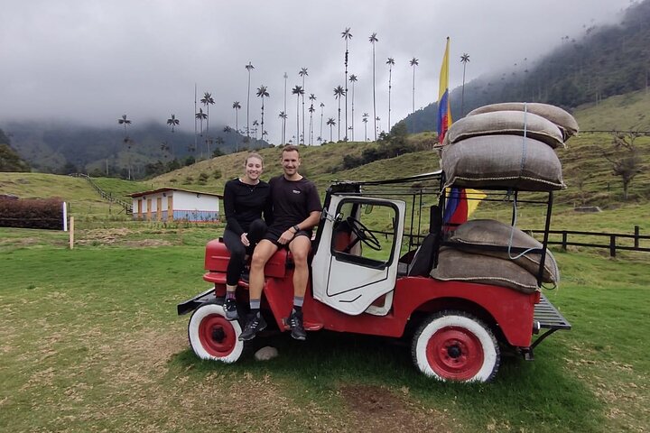 Salento, Cocora and Filandia Private Tour from Pereira or Armenia