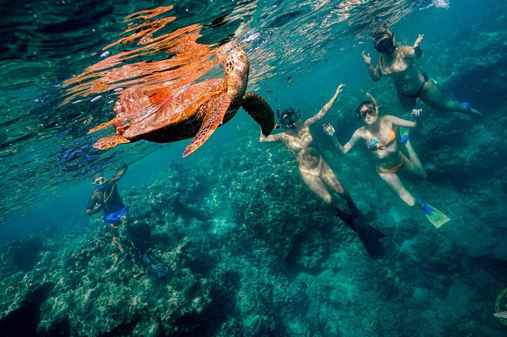 Ariki Adventures: Premium Sea Scooter Turtle Adventure