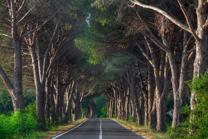 Marmaris Yuvarlakcay Tour With Lunch and Akyaka River Cruise