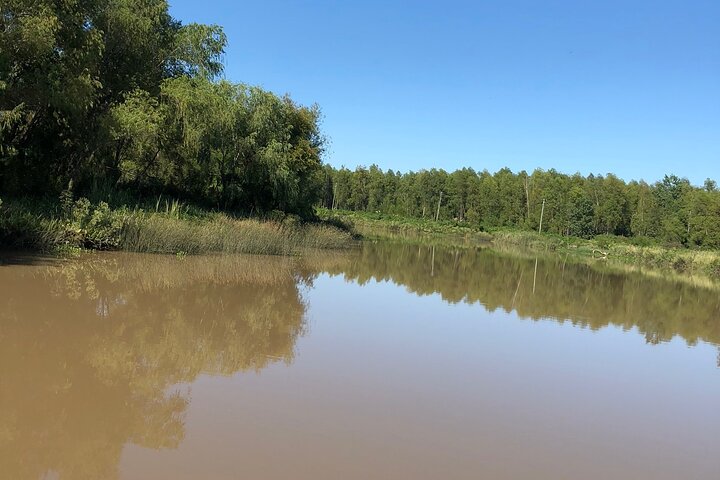 Customized Tigre Delta Tour lunch and drink included