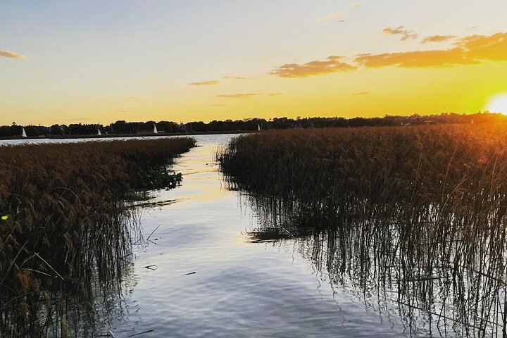 Customized Tigre Delta Tour lunch and drink included