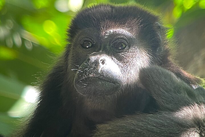 2 Days 1 Night Corcovado Jungle Adventure Sirena Ranger Station