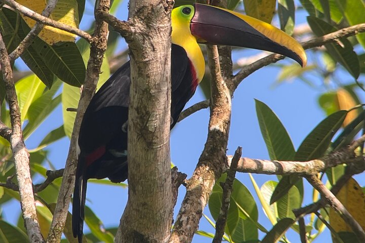 2 Days 1 Night Corcovado Jungle Adventure Sirena Ranger Station