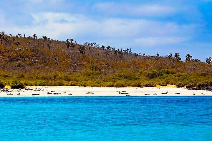 Santa Fe Island & Playa Escondida Snorkeling Day Trip