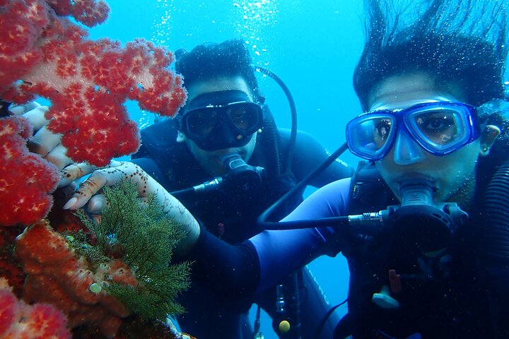 Tulamben Diving Tour Shipwreck USS Bali