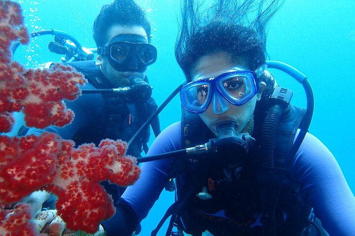 Tulamben Diving Tour Shipwreck USS Bali