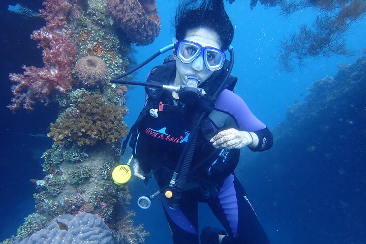 Tulamben Diving Tour Shipwreck USS Bali