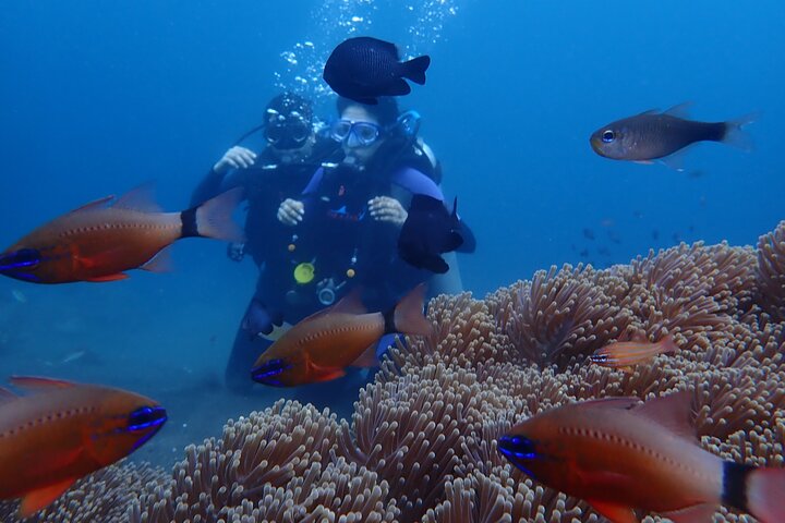Tulamben Diving Tour Shipwreck USS Bali