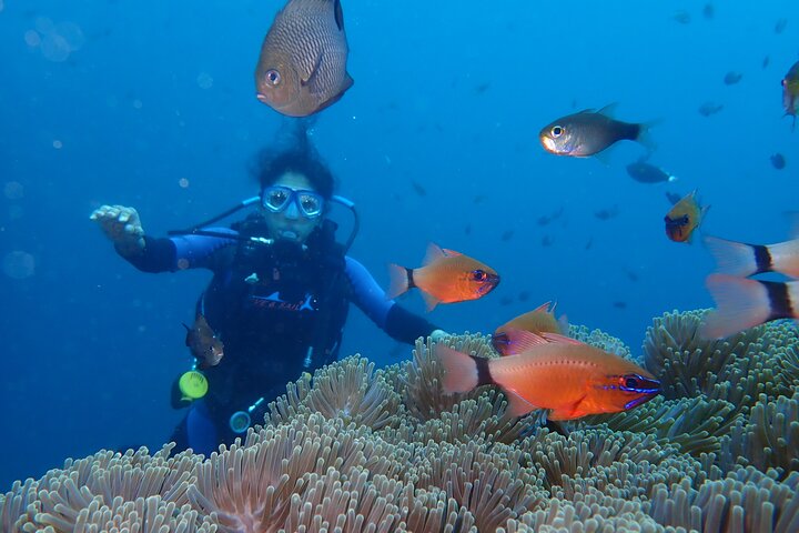 Tulamben Diving Tour Shipwreck USS Bali