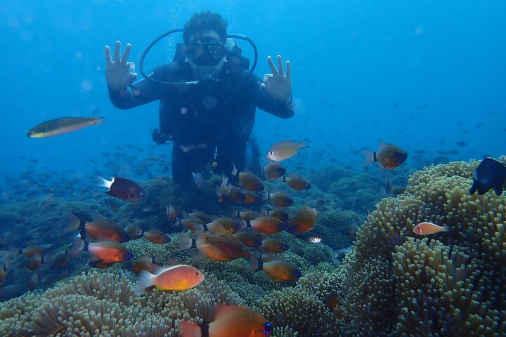 Tulamben Diving Tour Shipwreck USS Bali