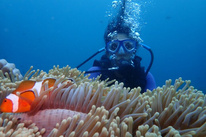 Tulamben Diving Tour Shipwreck USS Bali