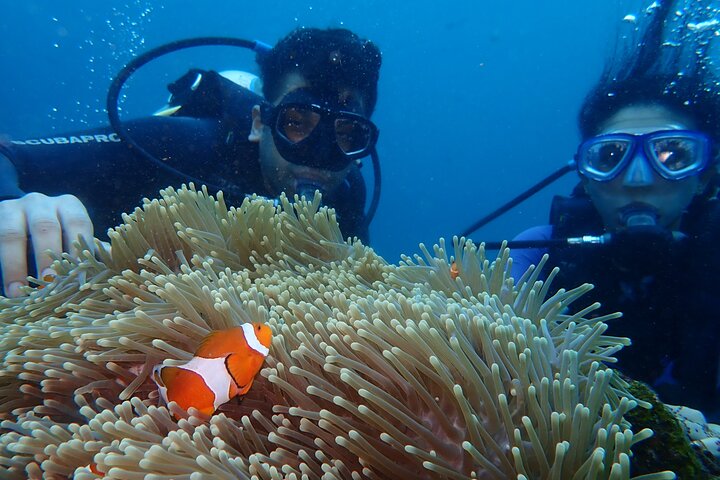 Tulamben Diving Tour Shipwreck USS Bali