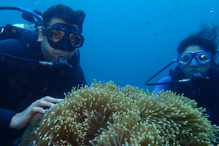 Tulamben Diving Tour Shipwreck USS Bali