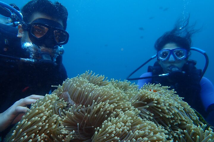 Tulamben Diving Tour Shipwreck USS Bali